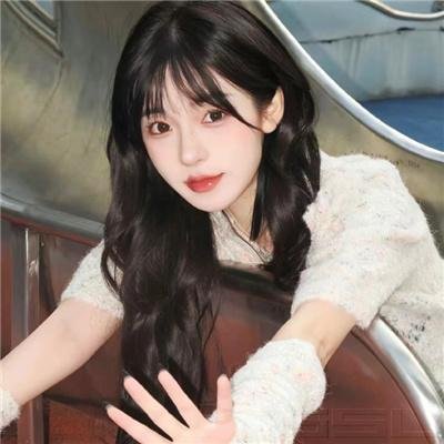 小姐与流氓2:狗儿逃家记